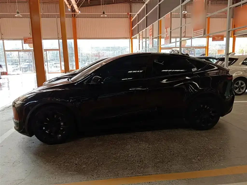 Tesla Model Y 2021 из CN, фото 5