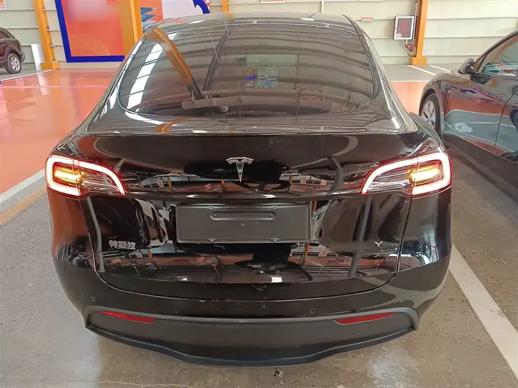Tesla Model Y 2021 из CN, фото 6