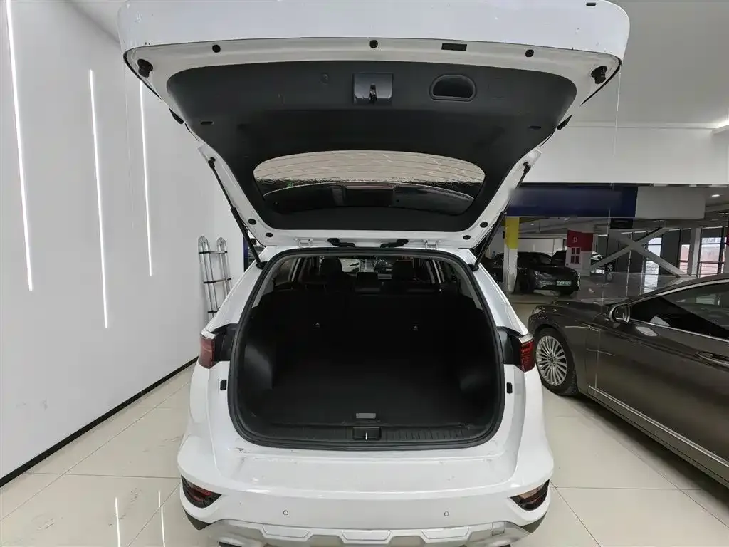 Kia KX5 2021 из CN, фото 4