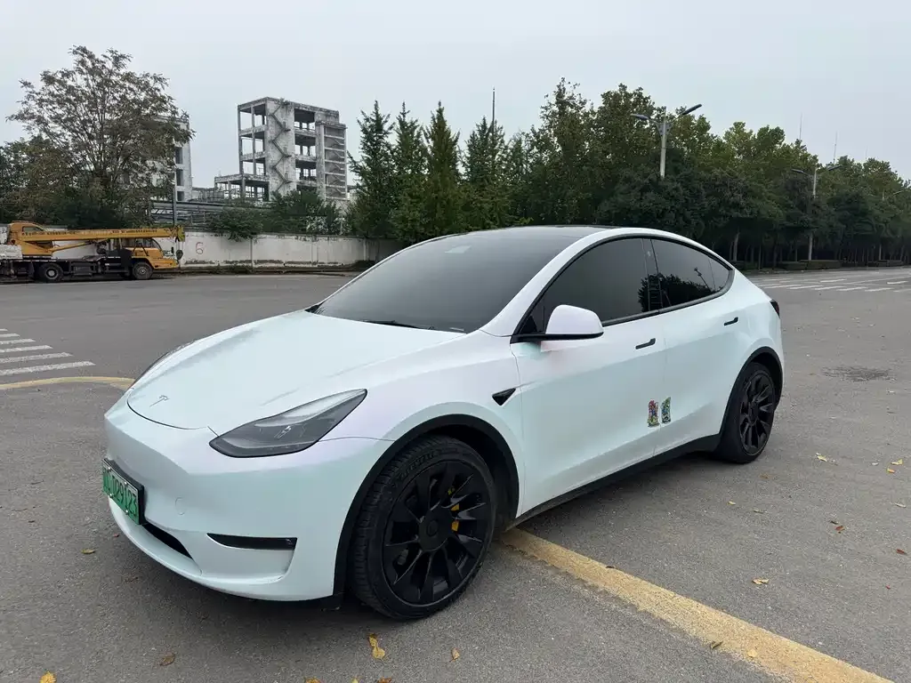 Tesla Model Y — фото 1
