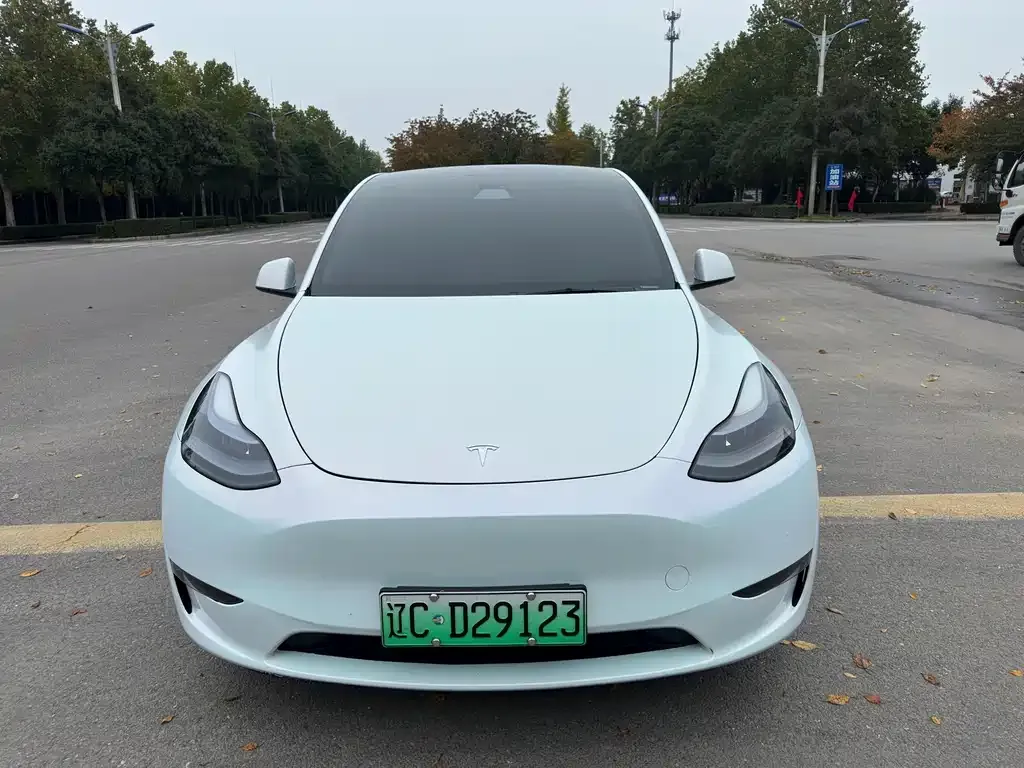 Tesla Model Y — фото 2