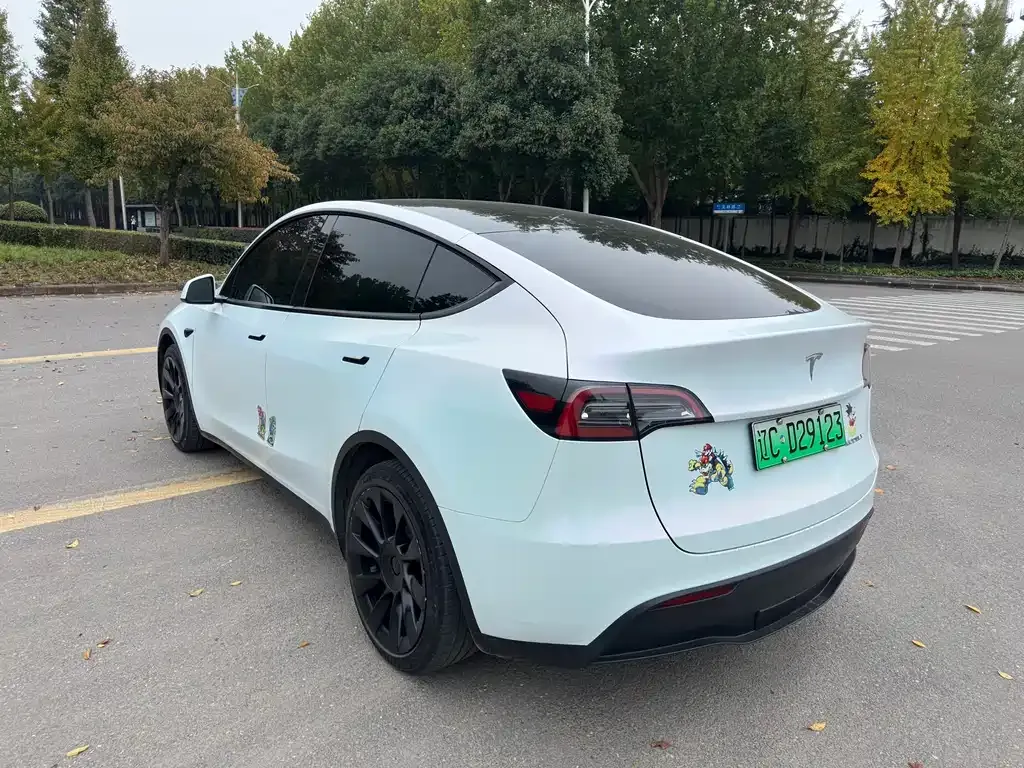 Tesla Model Y — фото 8