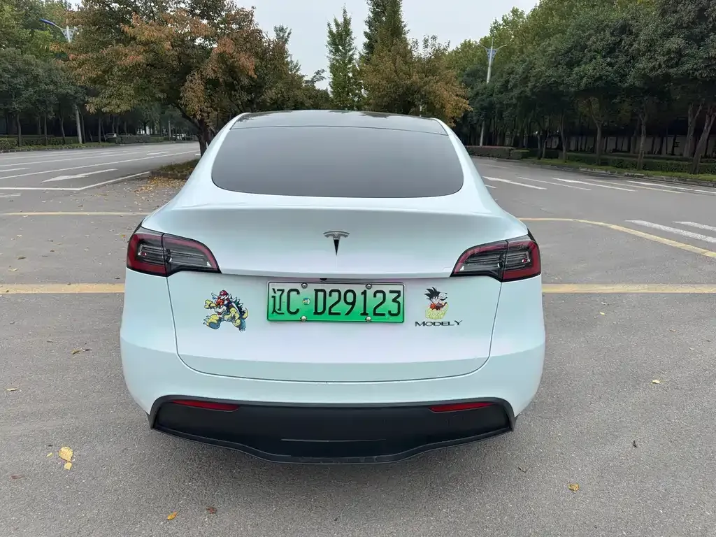 Tesla Model Y — фото 9