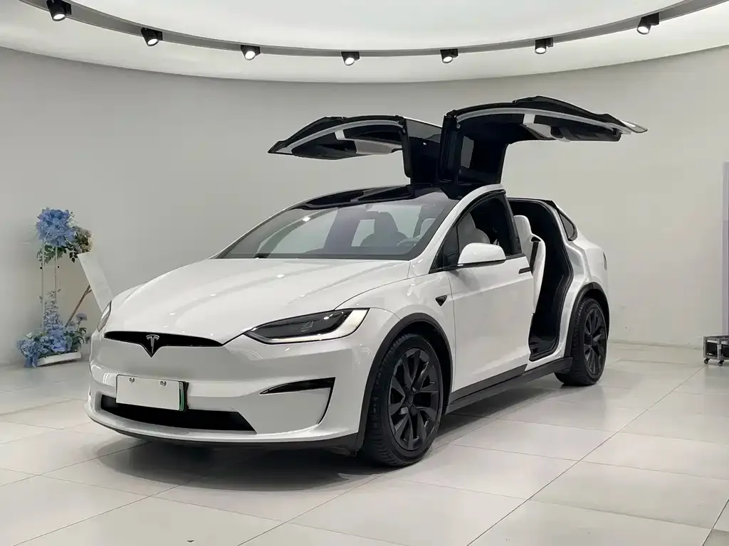 Tesla Model X 2024 из CN, фото 1