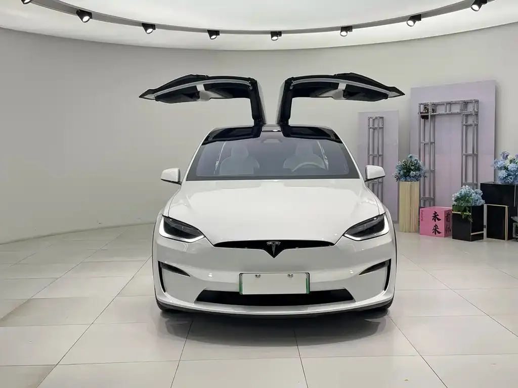 Tesla Model X 2024 из CN, фото 2