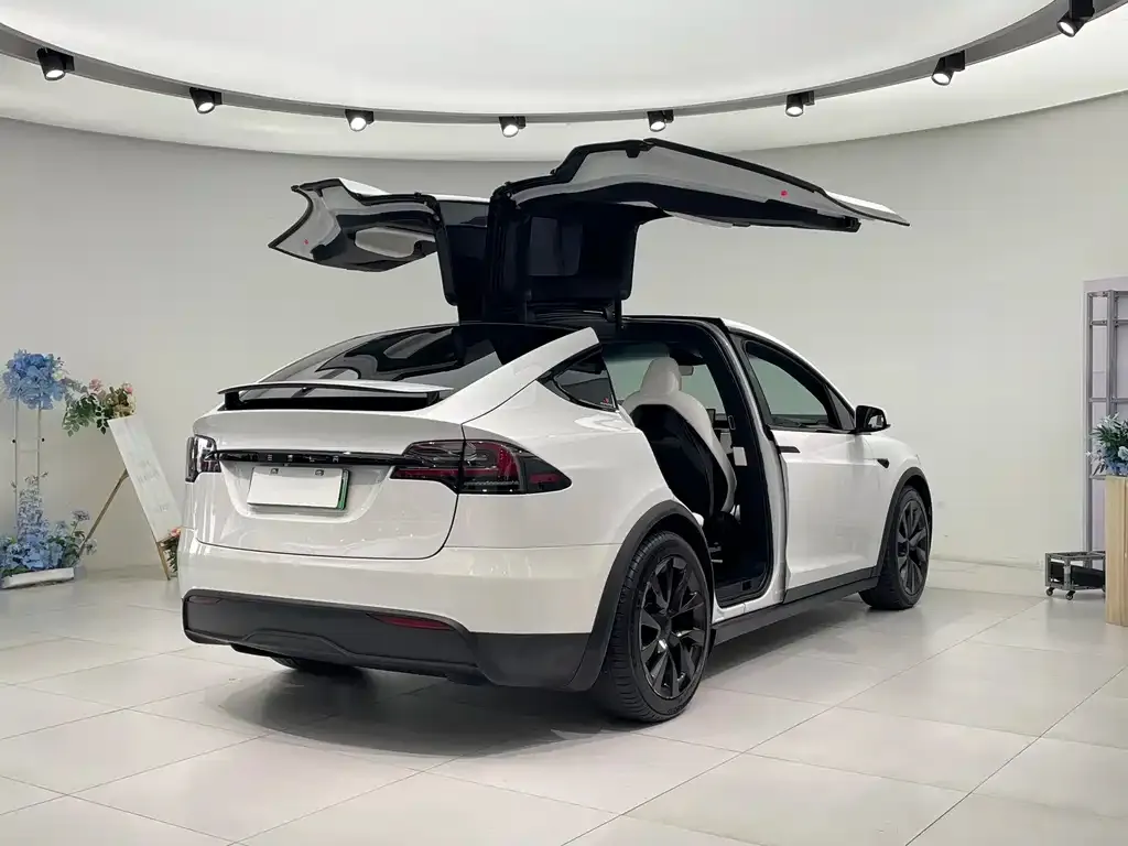 Tesla Model X 2024 из CN, фото 4