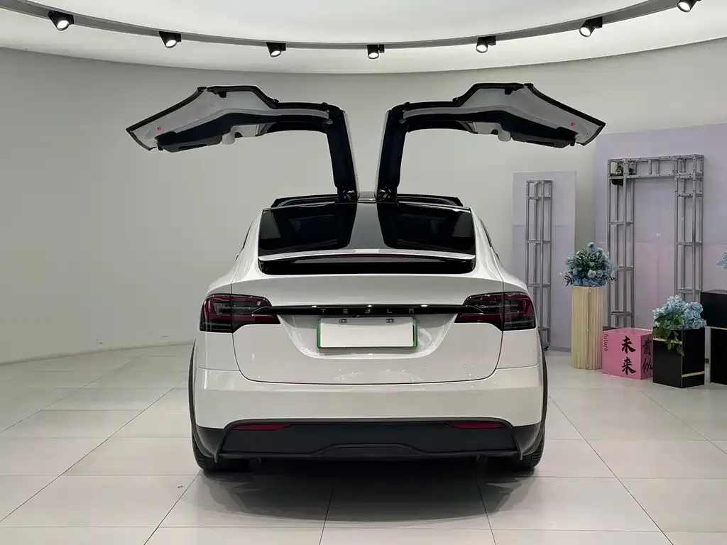 Tesla Model X 2024 из CN, фото 5
