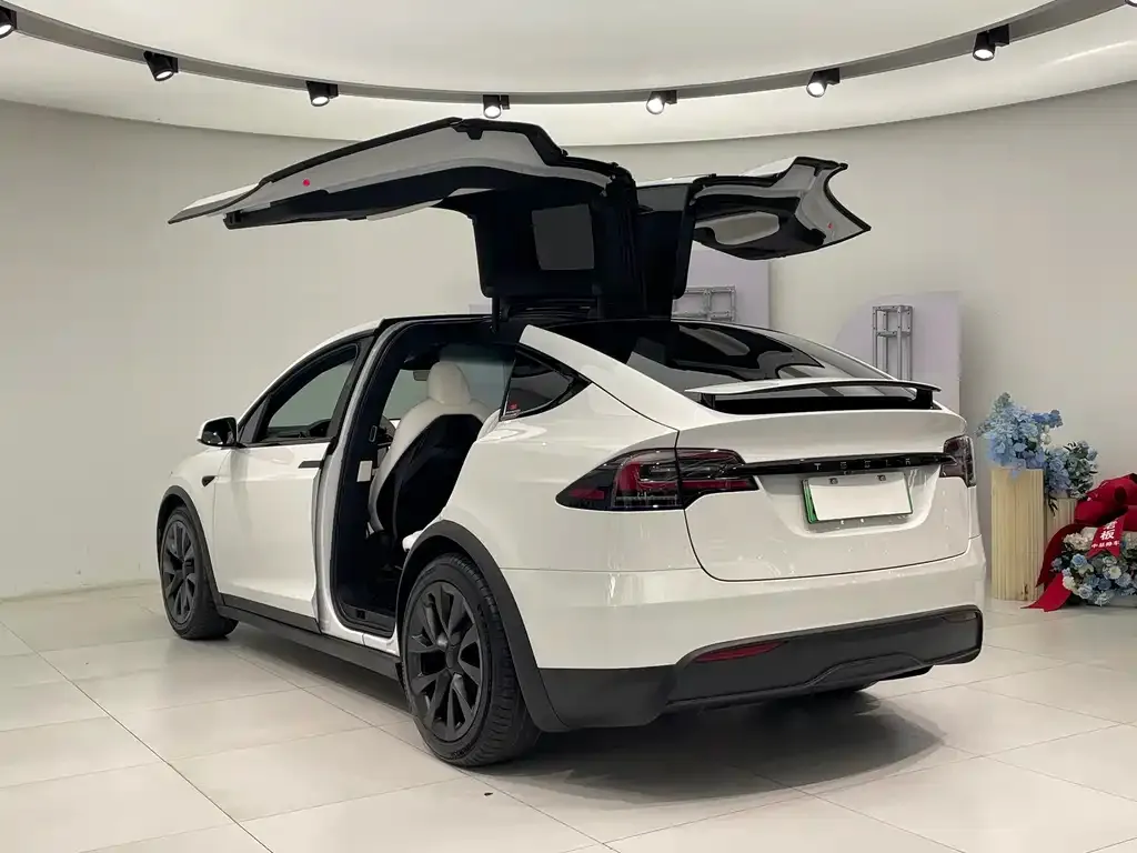 Tesla Model X 2024 из CN, фото 6