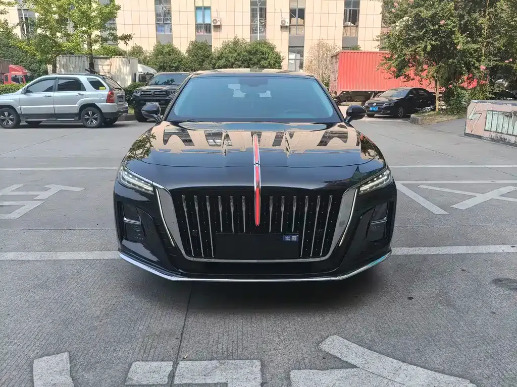 Hongqi H5 2023 из CN, фото 2