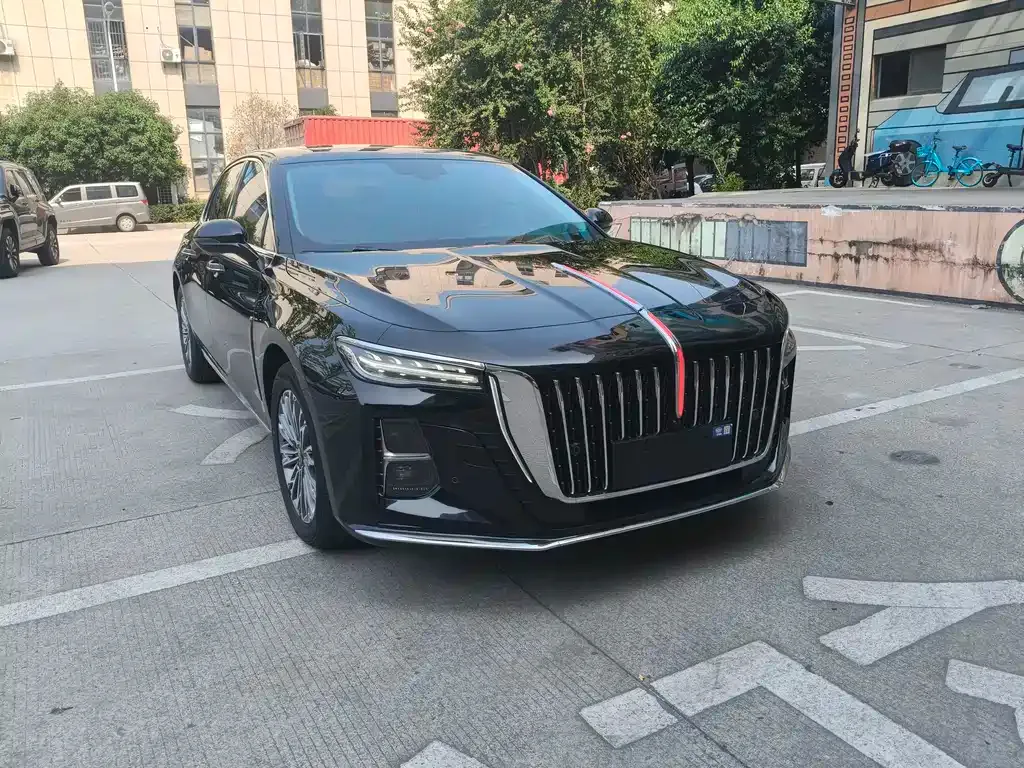 Hongqi H5 2023 из CN, фото 3