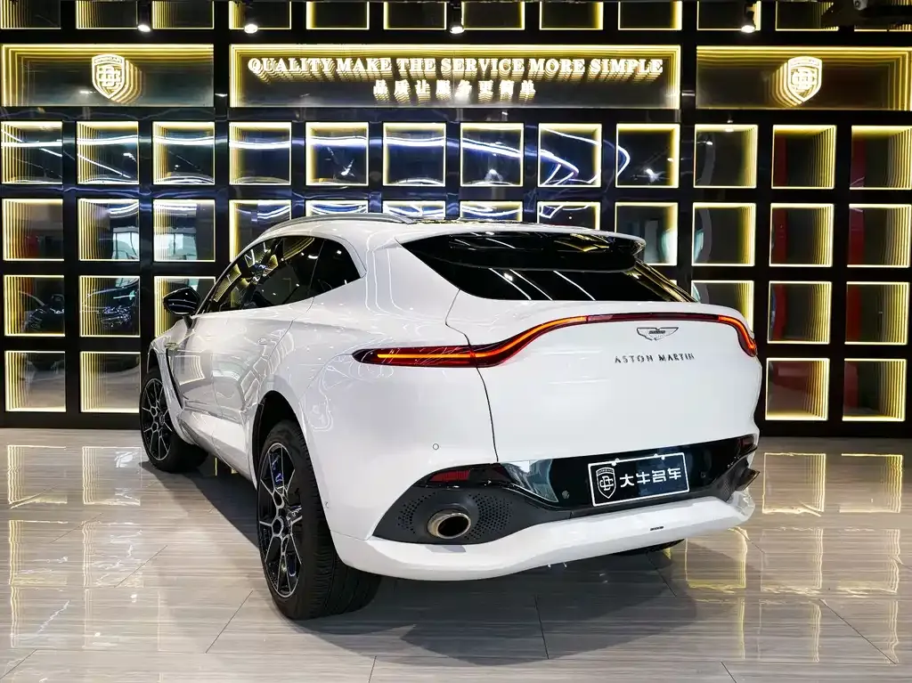 Aston Martin DBX 2022 из CN, фото 4