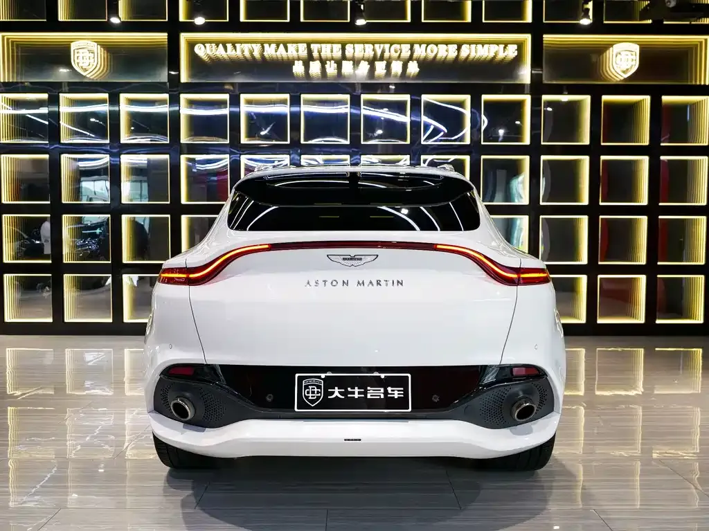 Aston Martin DBX 2022 из CN, фото 5