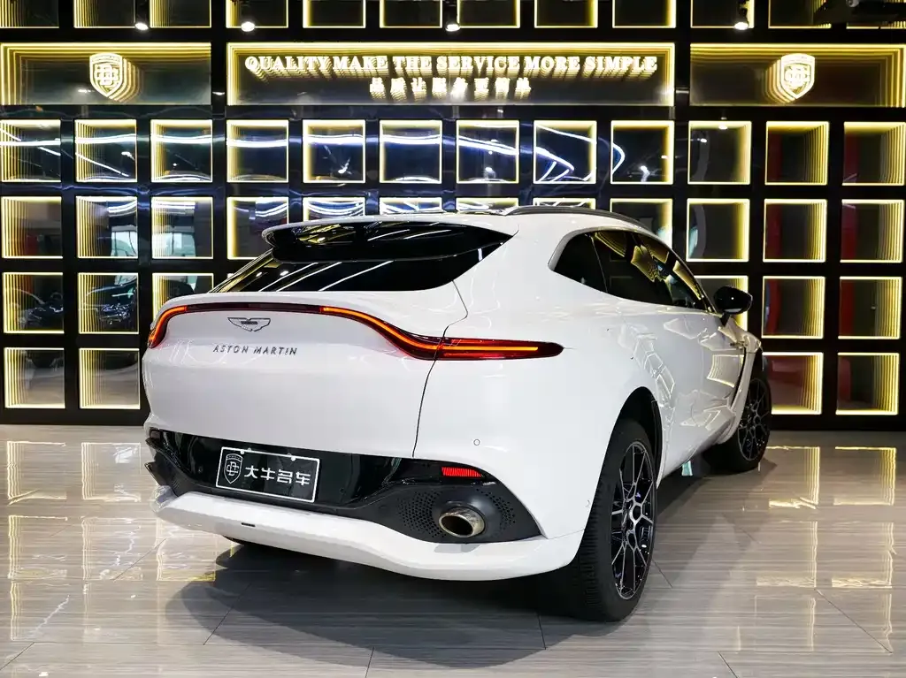 Aston Martin DBX 2022 из CN, фото 6