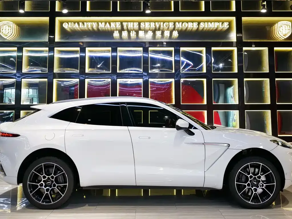 Aston Martin DBX 2022 из CN, фото 7