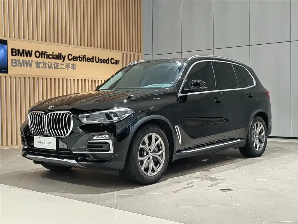 BMW X5 New Energy (Import)
