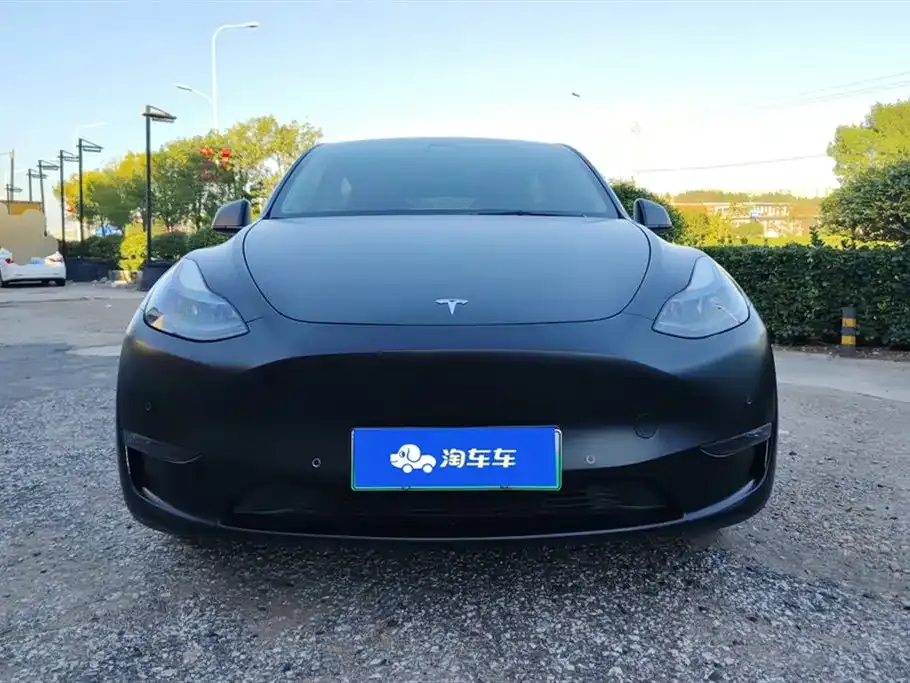 Tesla Model Y 2021 из CN, фото 2
