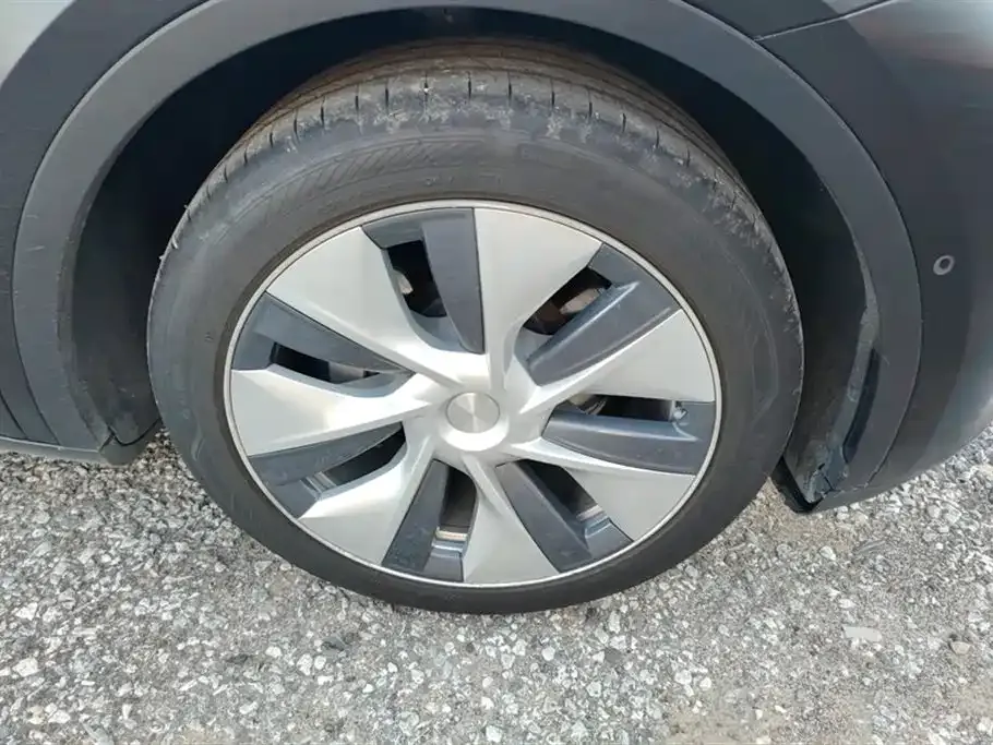 Tesla Model Y 2021 из CN, фото 6