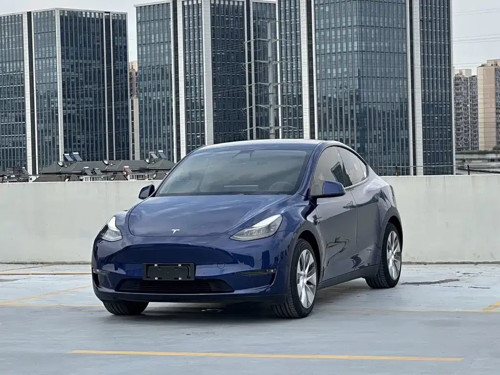 Tesla Model Y — фото 1