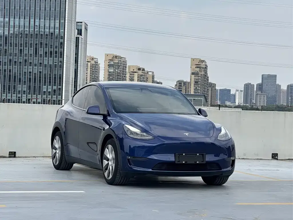 Tesla Model Y — фото 2