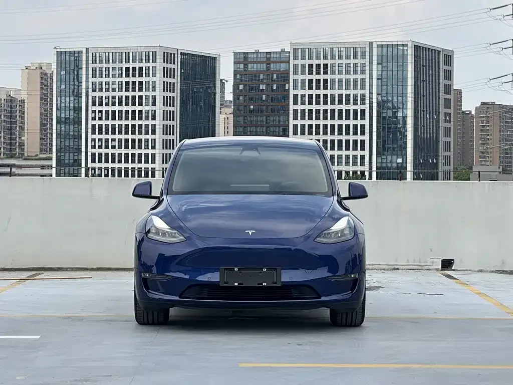 Tesla Model Y — фото 3