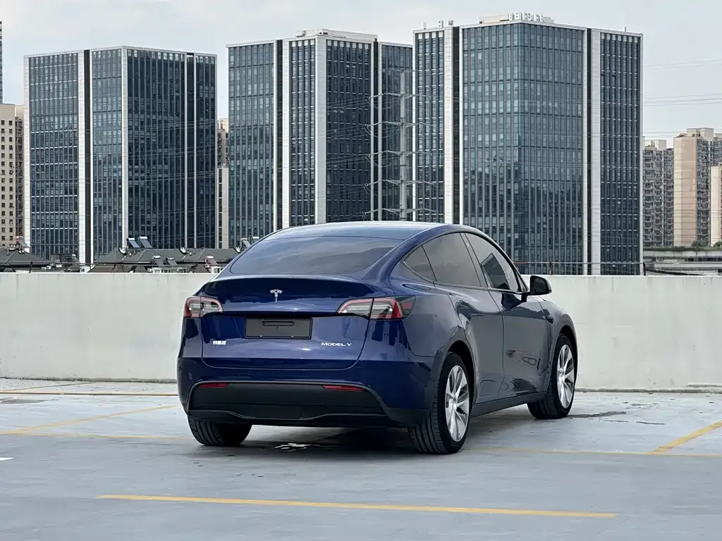 Tesla Model Y — фото 5