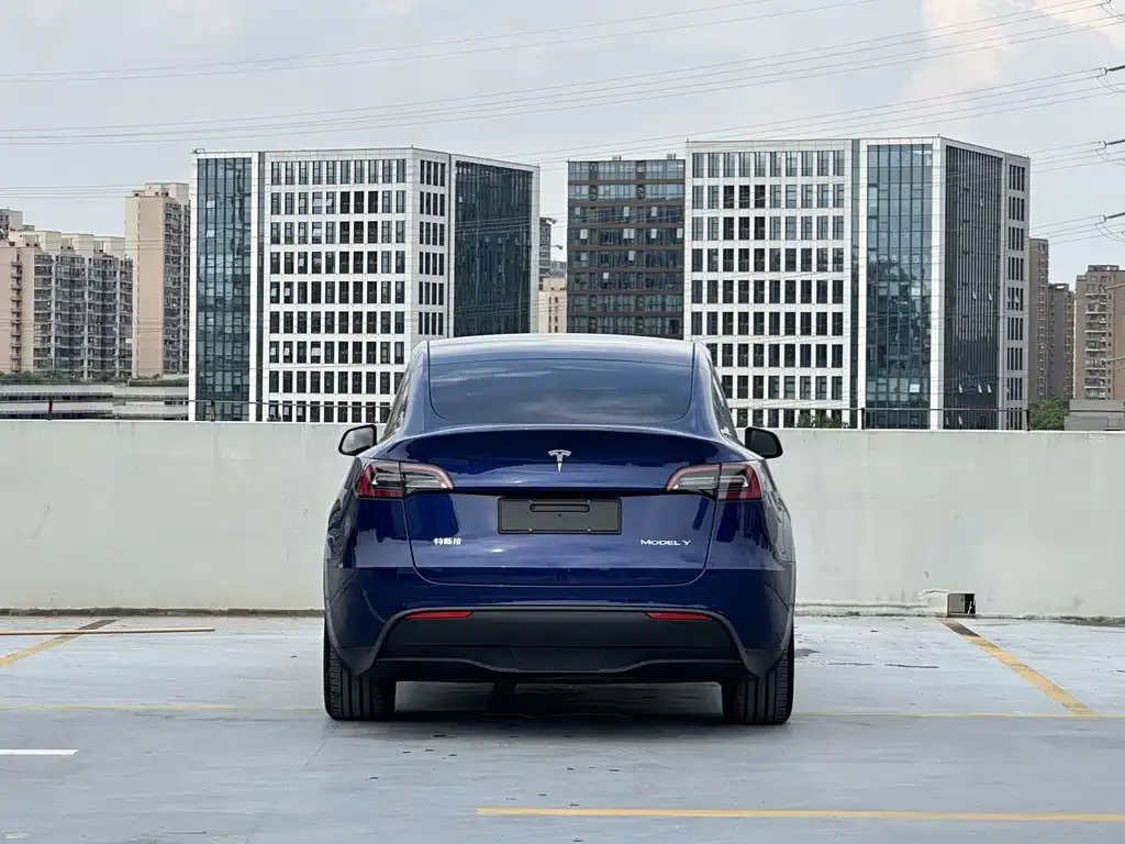 Tesla Model Y — фото 6