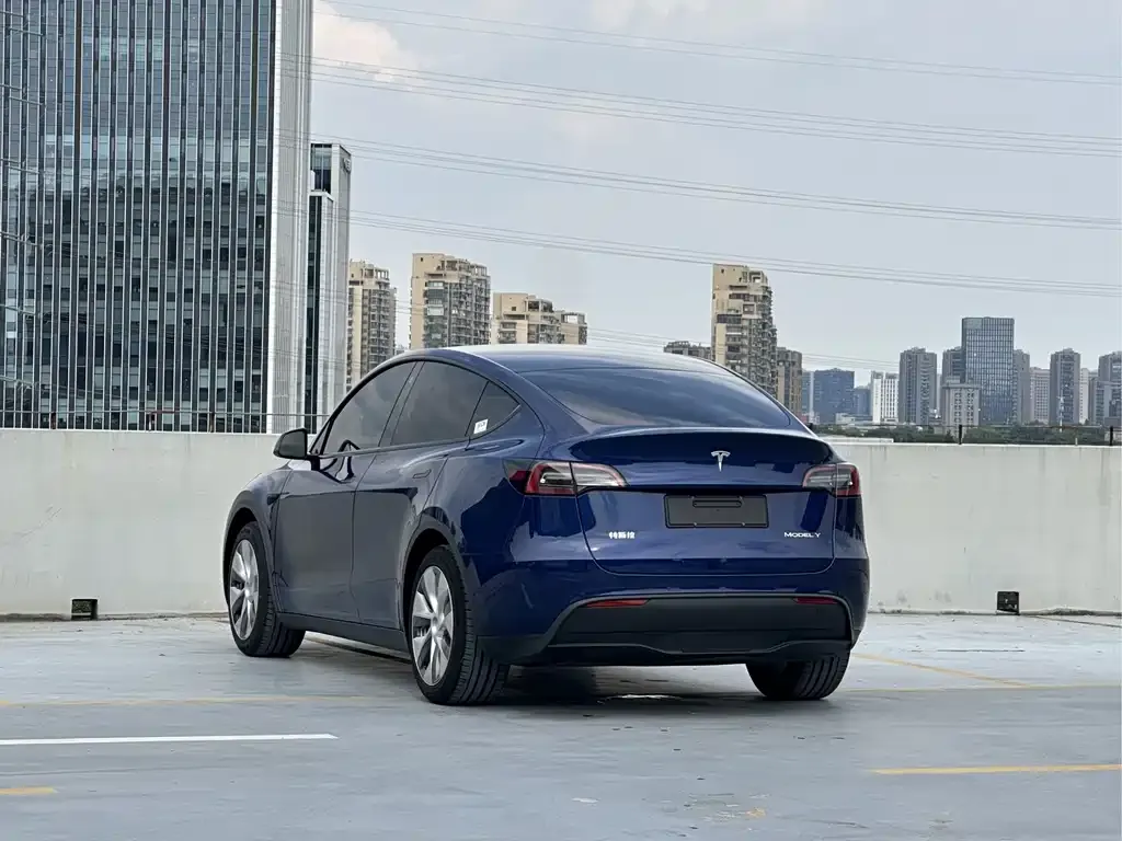 Tesla Model Y — фото 7