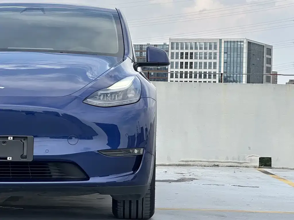 Tesla Model Y — фото 8