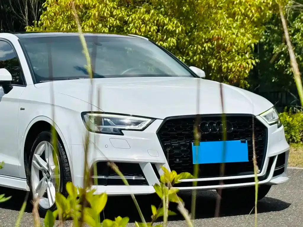 Audi A3 2021 из CN, фото 9