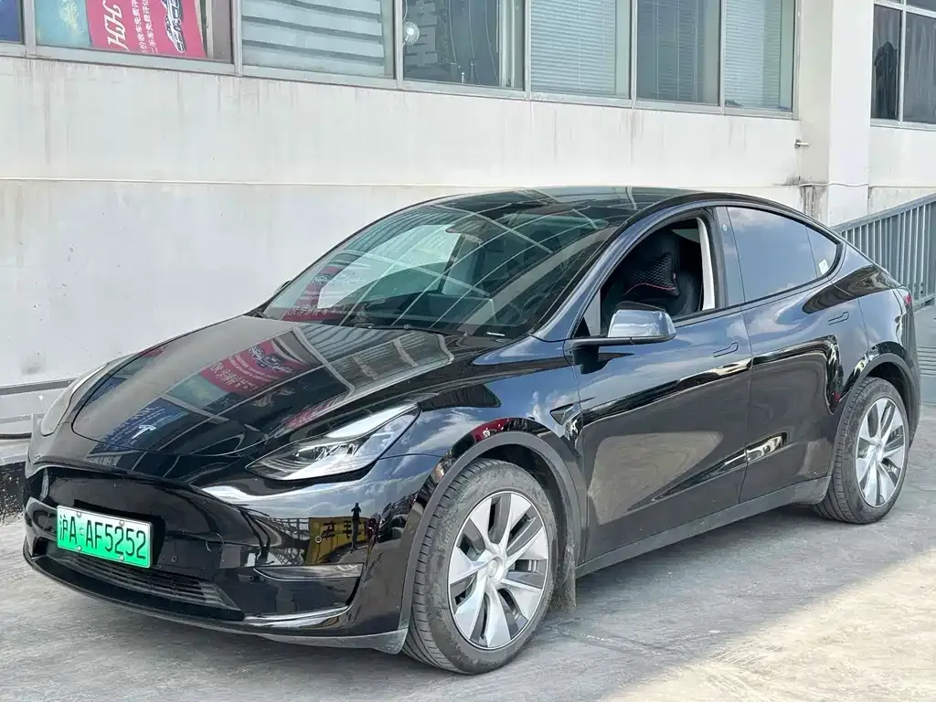 Tesla Model Y 2021 из CN, фото 1