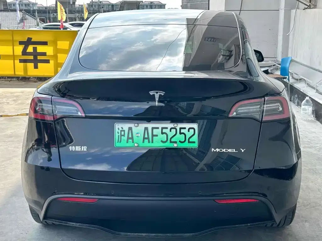 Tesla Model Y 2021 из CN, фото 2