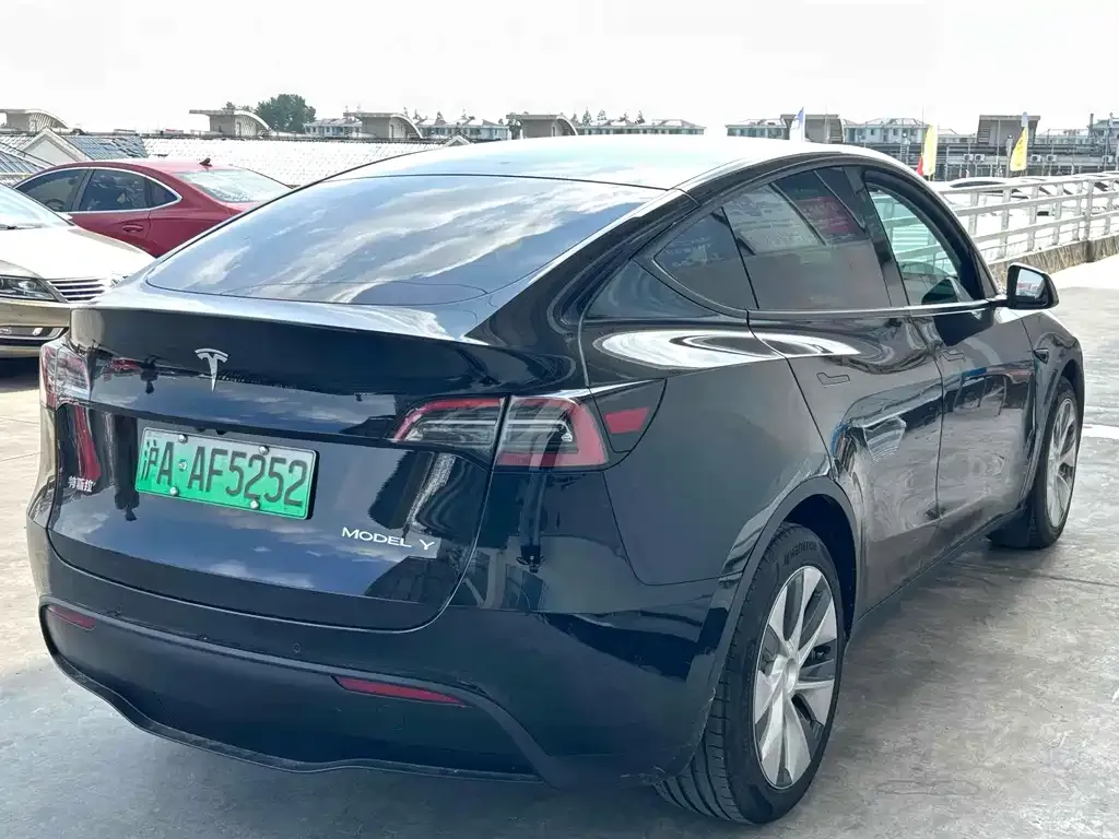 Tesla Model Y 2021 из CN, фото 3