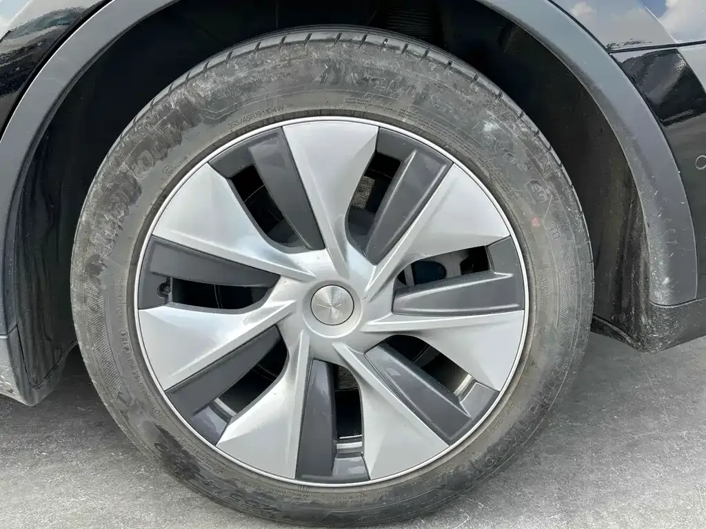 Tesla Model Y 2021 из CN, фото 6