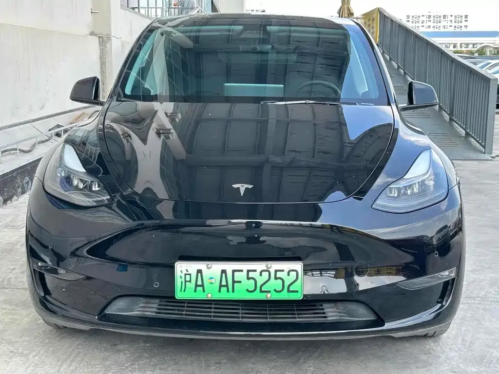 Tesla Model Y 2021 из CN, фото 9