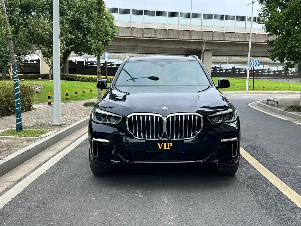 BMW X5 2023 из CN, фото 2