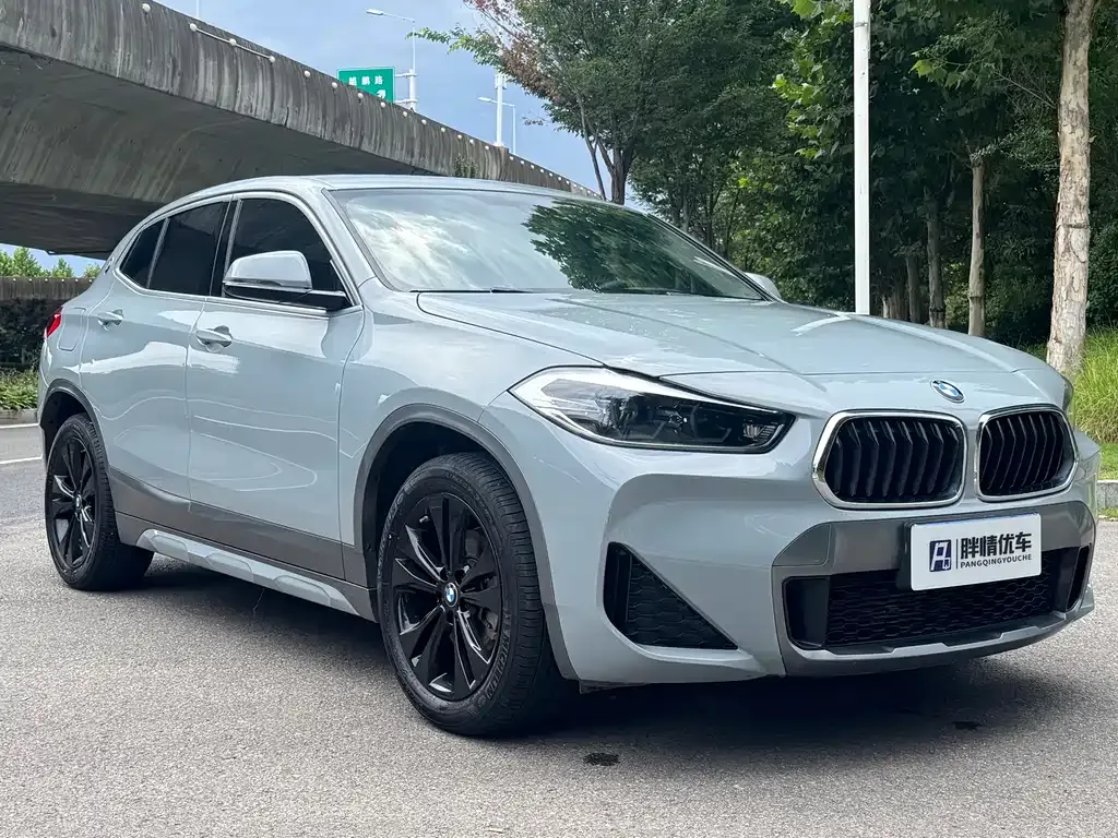 BMW X2 2021 из CN, фото 3