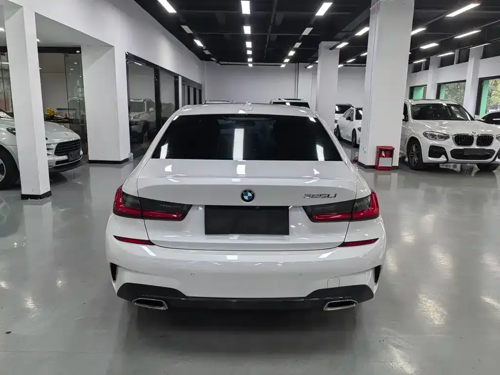 BMW 3 Series 2021 из CN, фото 6