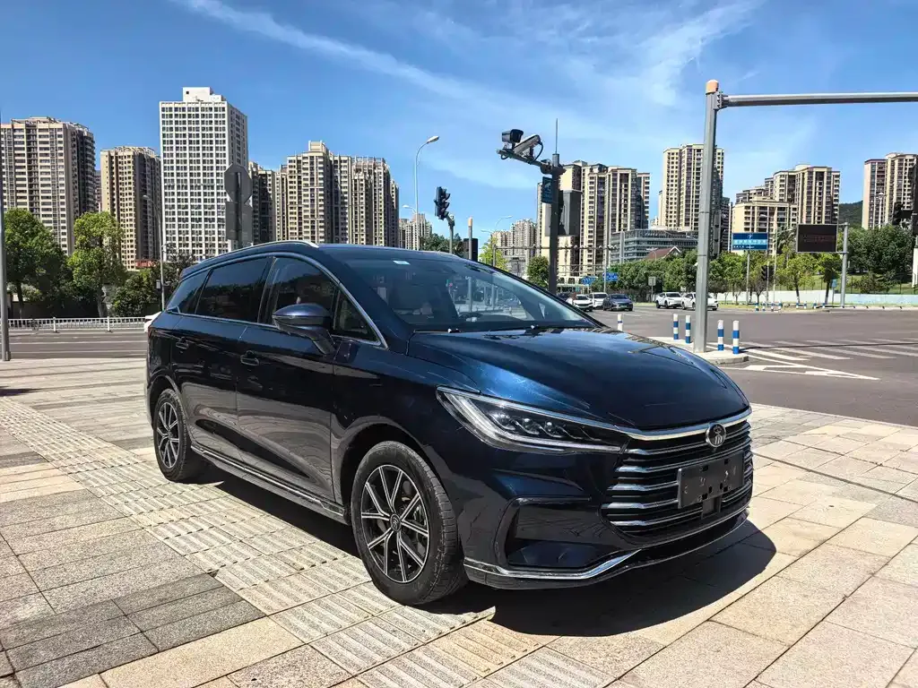 BYD MAX New Energy 2022 из CN, фото 3