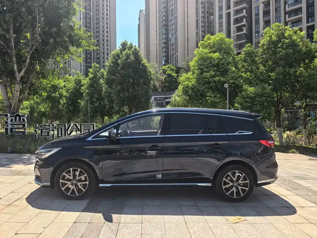 BYD MAX New Energy 2022 из CN, фото 4