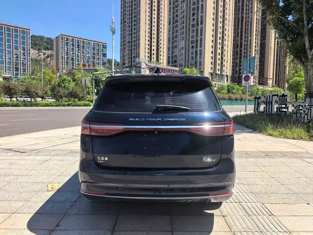BYD MAX New Energy 2022 из CN, фото 6