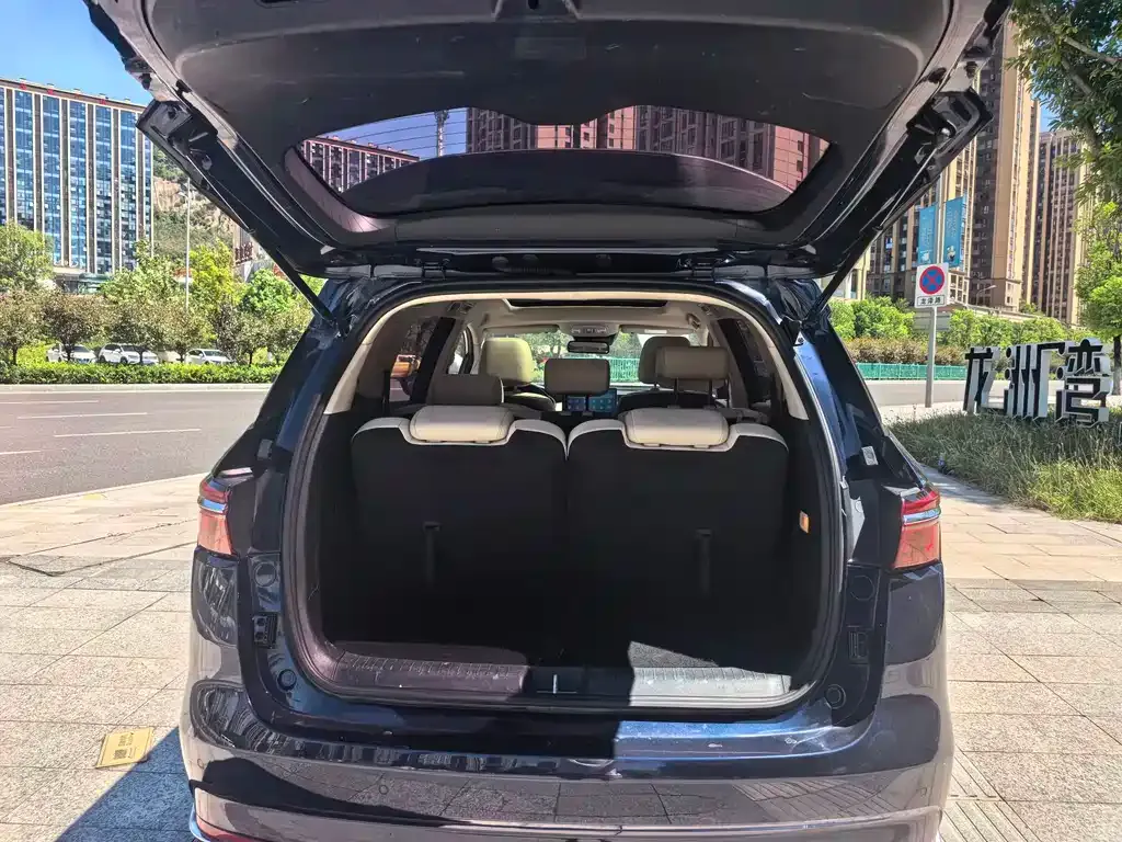 BYD MAX New Energy 2022 из CN, фото 9