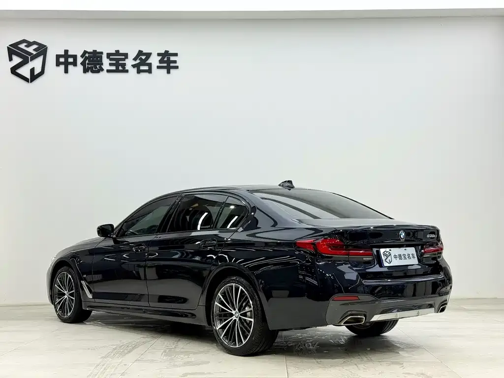 BMW 5 Series 2023 из CN, фото 4