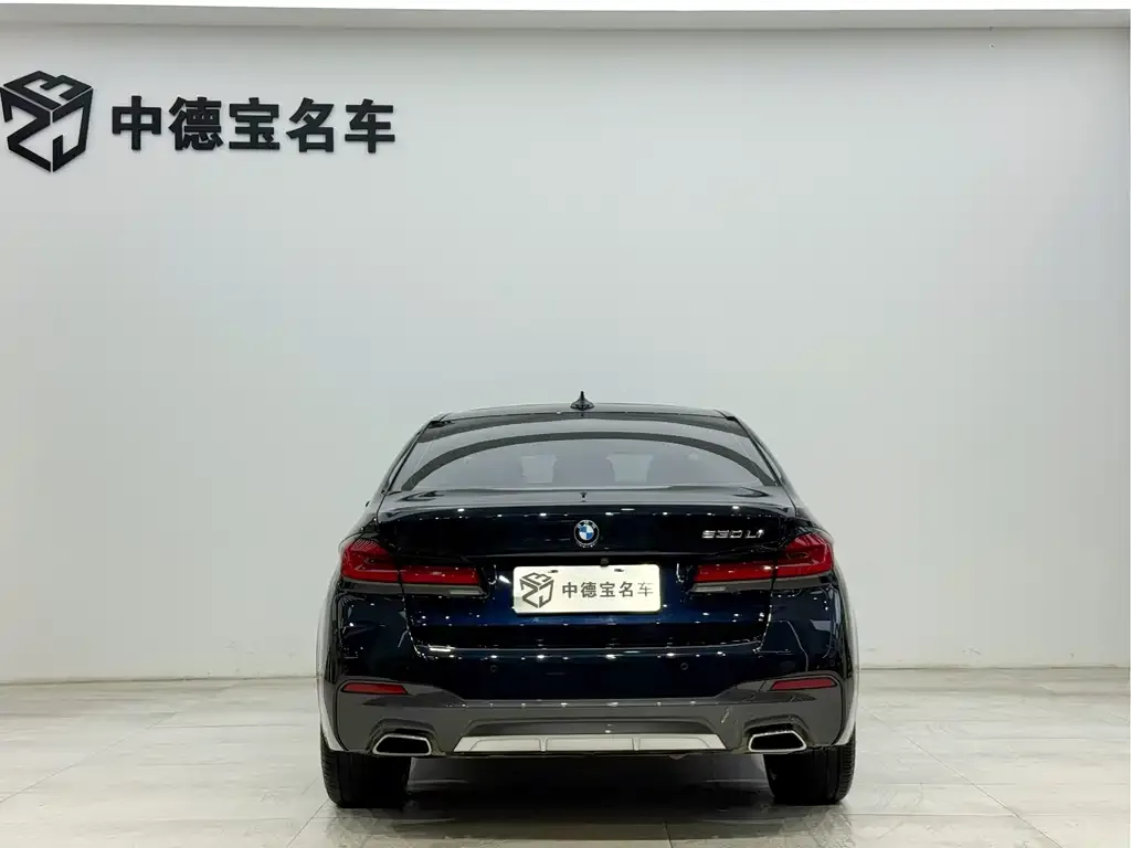 BMW 5 Series 2023 из CN, фото 5