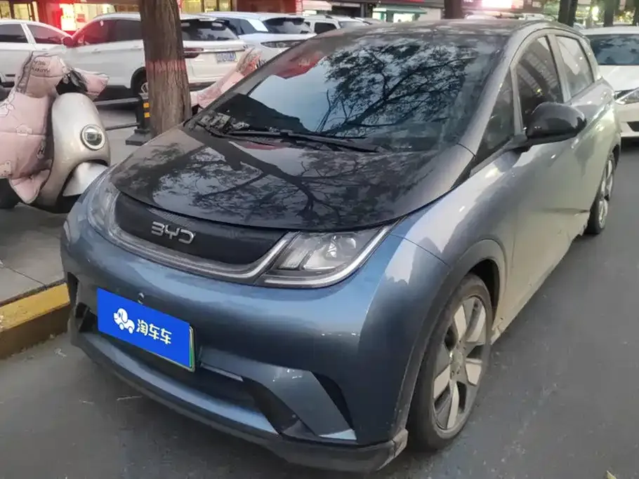 BYD Dolphin 2024 из CN, фото 1