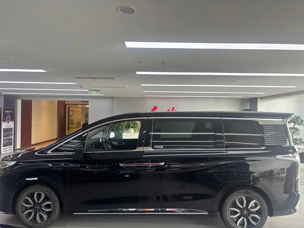 Hongqi HQ9 2023 из CN, фото 4