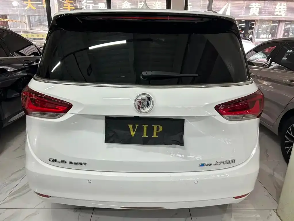 Buick GL6 2021 из CN, фото 10