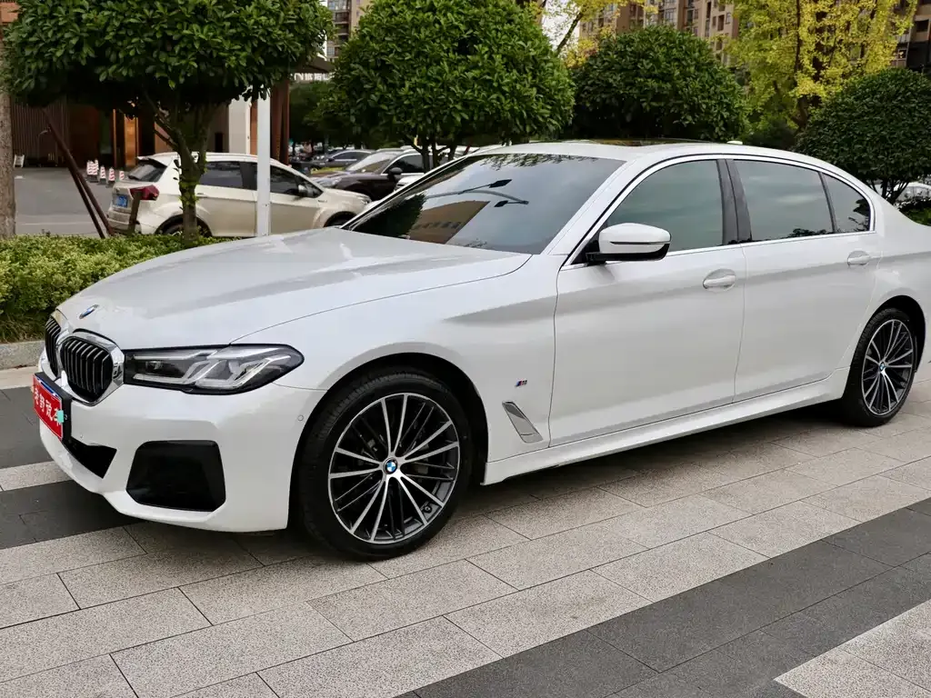 BMW 5 Series 2022 из CN, фото 2