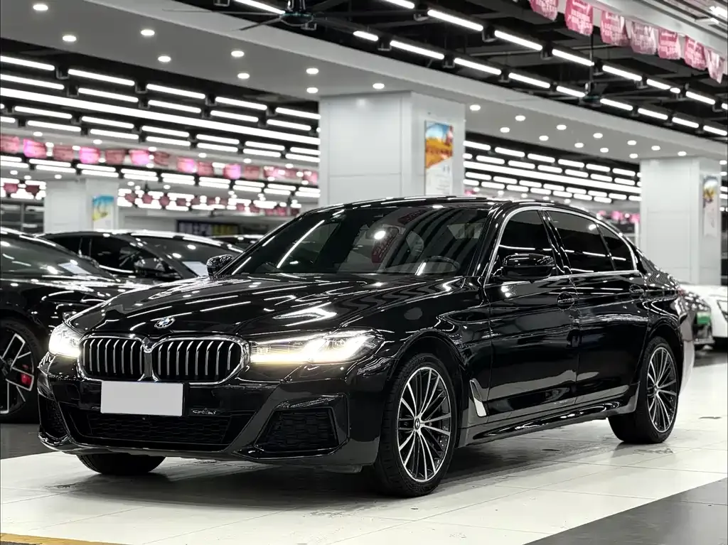 BMW 5 Series 2021 из CN, фото 1