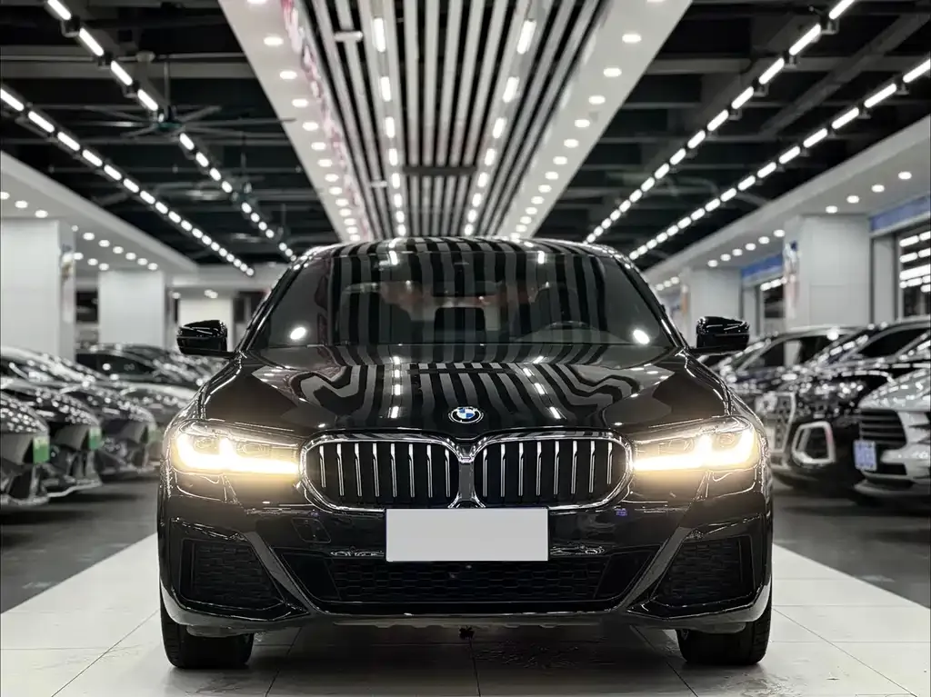 BMW 5 Series 2021 из CN, фото 2