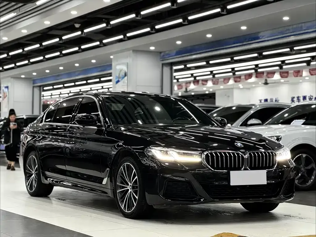BMW 5 Series 2021 из CN, фото 3